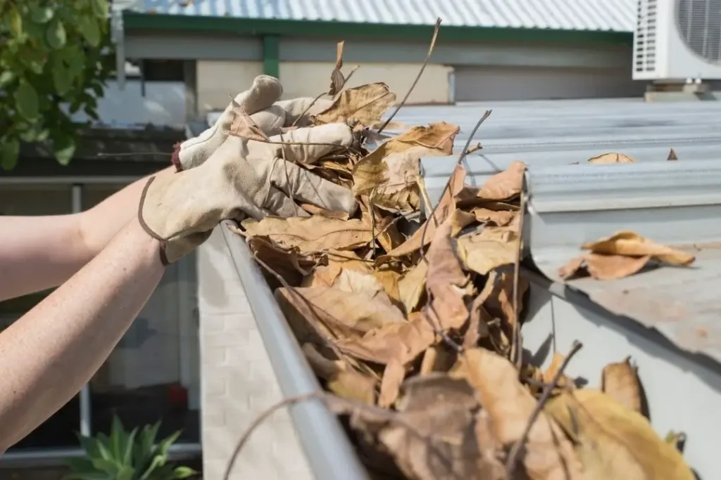 cleaning gutter of debris