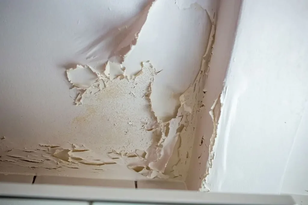 peeling paint on ceiling due to damp