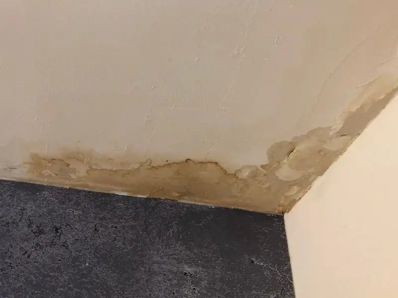 rook leak repairs Darwin