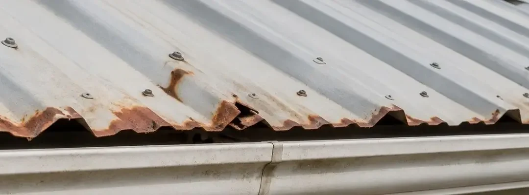 Signs Your Roof Has a Problem and What to Do Next