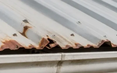 Signs Your Roof Has a Problem and What to Do Next